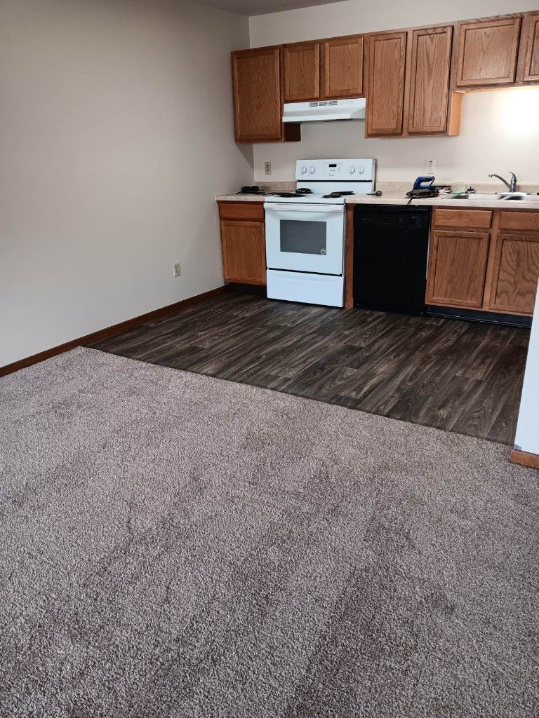 Carpet meeting wood look LVP at a kitchen